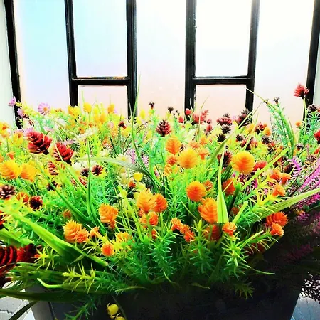 & Dp Vfxira * Vila Franca de Xira